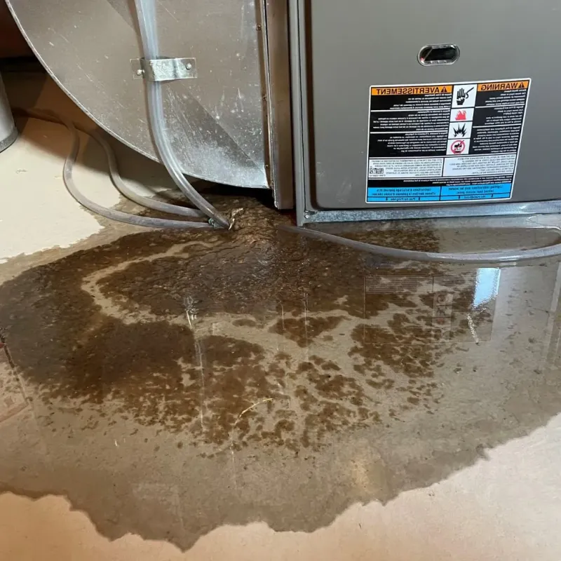 Pipe Burst and Leak Restoration in Manchester, NH